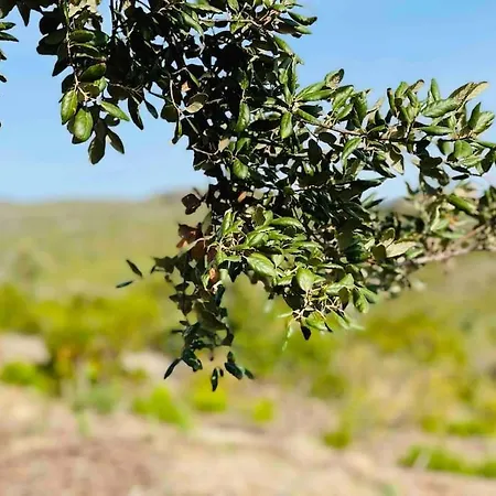 Carco Vecchio Ii Вилла Pietracorbara
