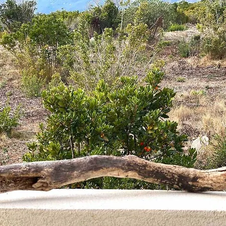 Carco Vecchio Ii וילה